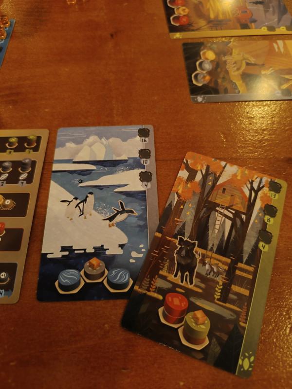Animal Cards