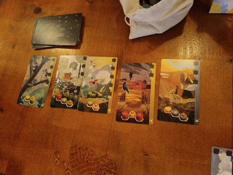 Animal River Cards