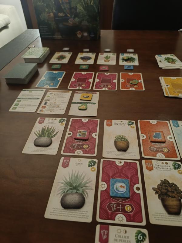 Verdant tableau mid-game with plant and room cards forming a chessboard pattern next to the market row of cards and tokens