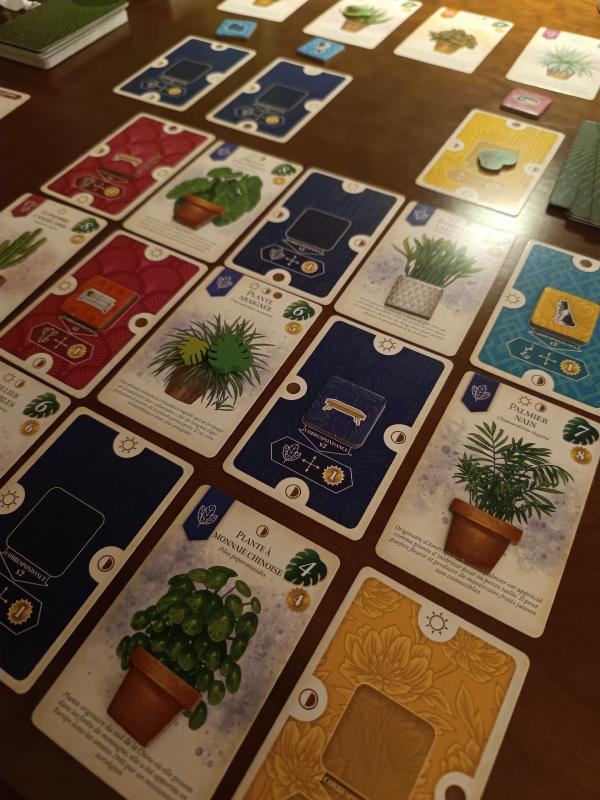 Close-up angled view of a completed Verdant tableau showing plant cards, room cards and their light and correspondence icons