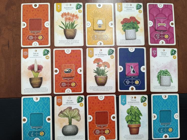 Close-up of a completed Verdant tableau with plant and room cards arranged in a chessboard pattern, pots visible on several cards
