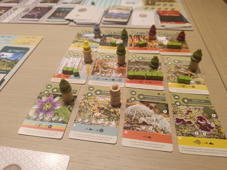 Earth game tableau with tree and plant cards, wooden tokens and cubes arranged in a grid on the table