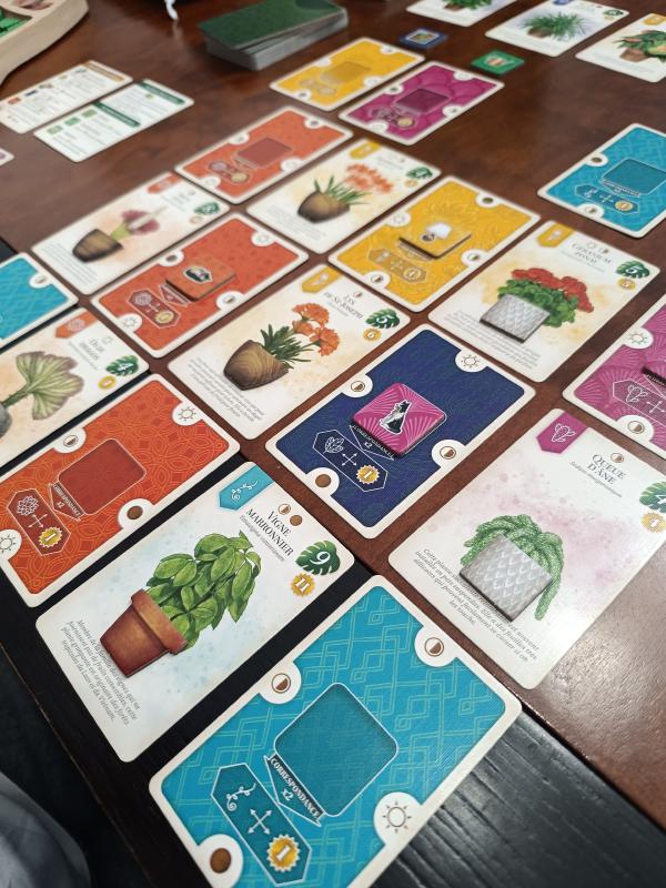Close-up of Verdant plant cards laid out on the table showing colourful houseplant illustrations