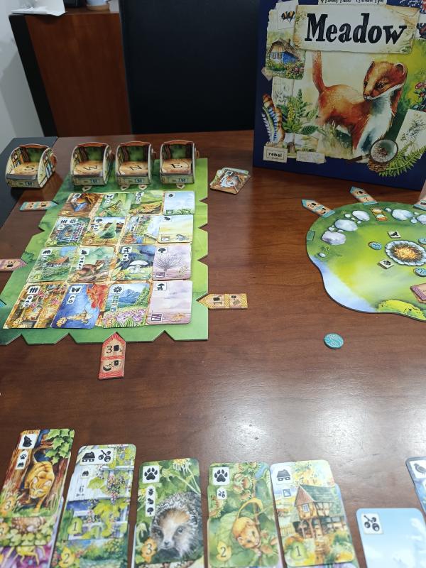 Meadow set up on the table with the card grid and the box