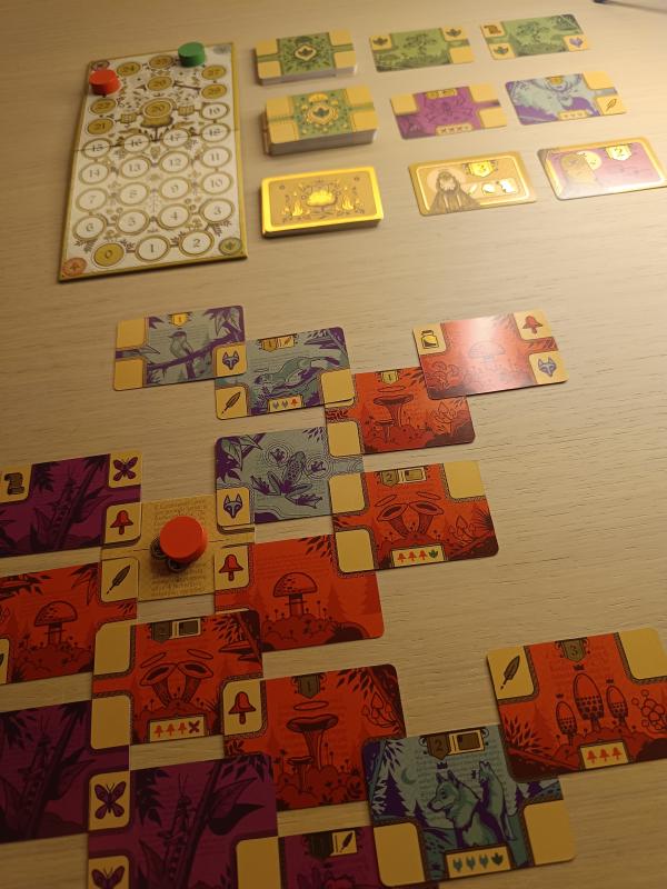 A Codex Naturalis manuscript in progress, red and purple cards overlapping at the corners with gold catching the light