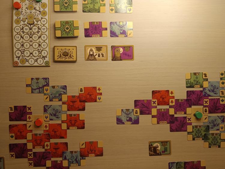 Two finished Codex Naturalis manuscripts on the table, showing the green, blue, purple and red kingdoms